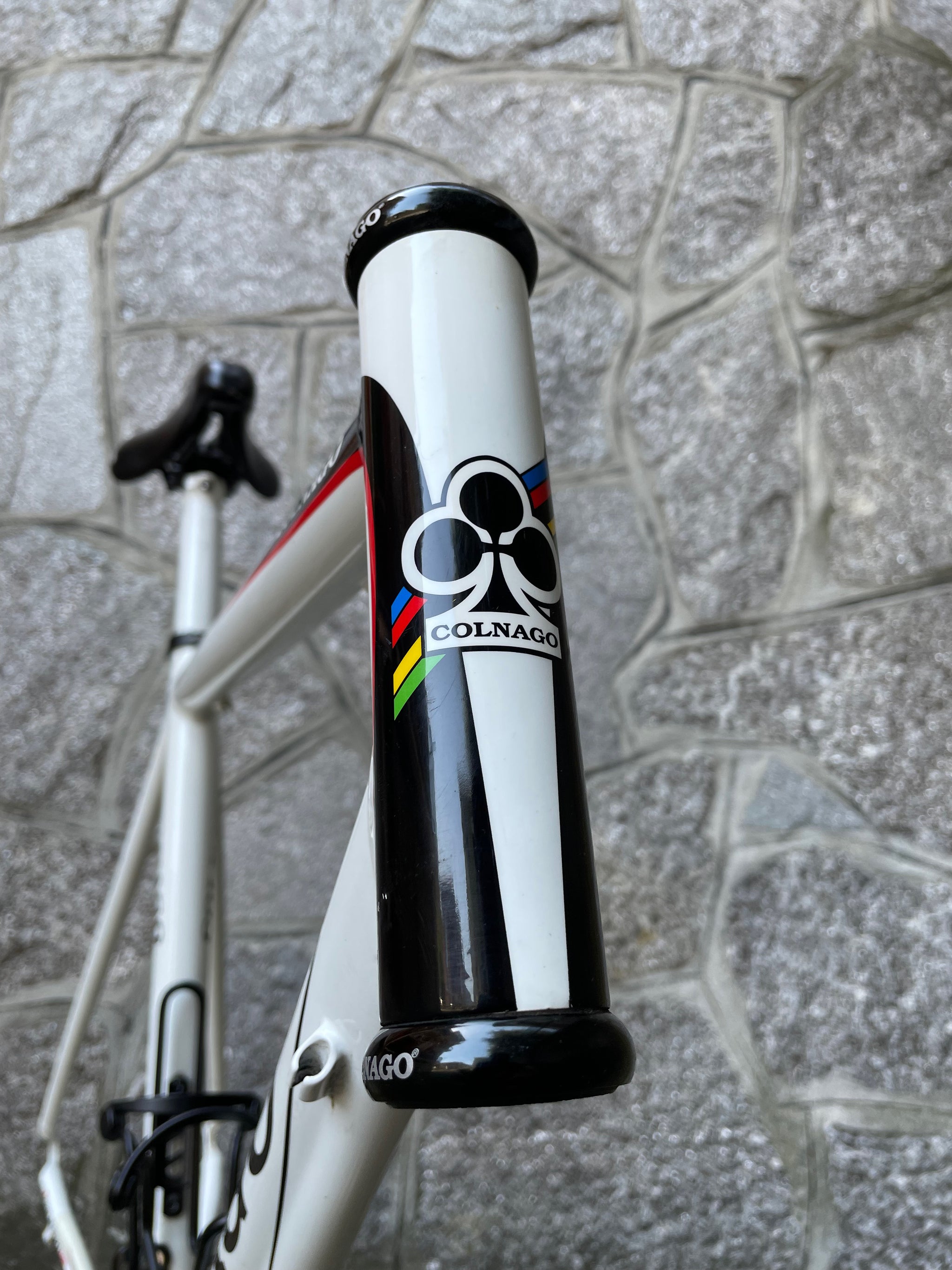 Colnago Primavera – Bike Square | Premium Cycling Components